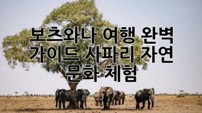 보츠와나 여행 완벽 가이드: 사파리, 자연, 문화 체험 🌍🦓