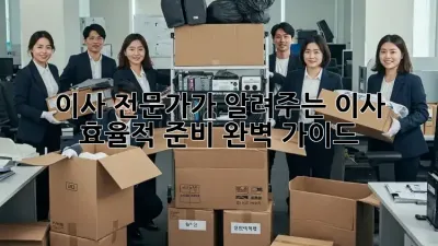 이사 전문가가 알려주는 이사 효율적 준비 완벽 가이드