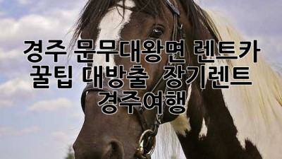 경주 문무대왕면 렌트카 꿀팁 대방출! 🚗🌊 #장기렌트 #경주여행